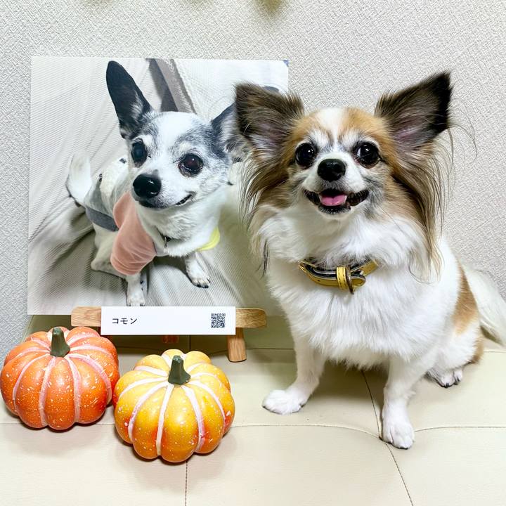 19980ee0 96da 426e a6a5 9d5847ebf2dd 1761532915774