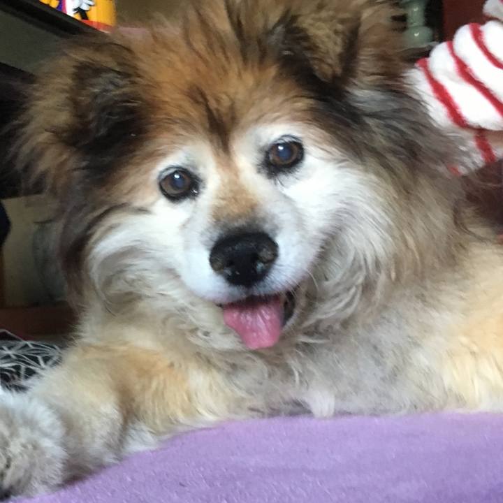 19983092 59de 43ca 8676 30006e3e5cad 1589596191996