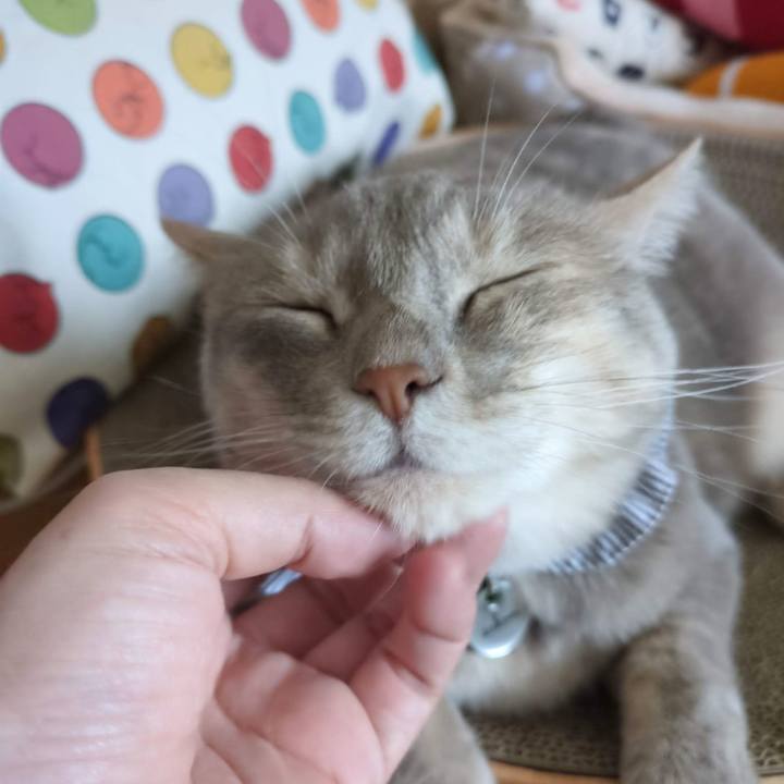 1998510f bdea 4113 905e 65011a36c29a 1687234216757