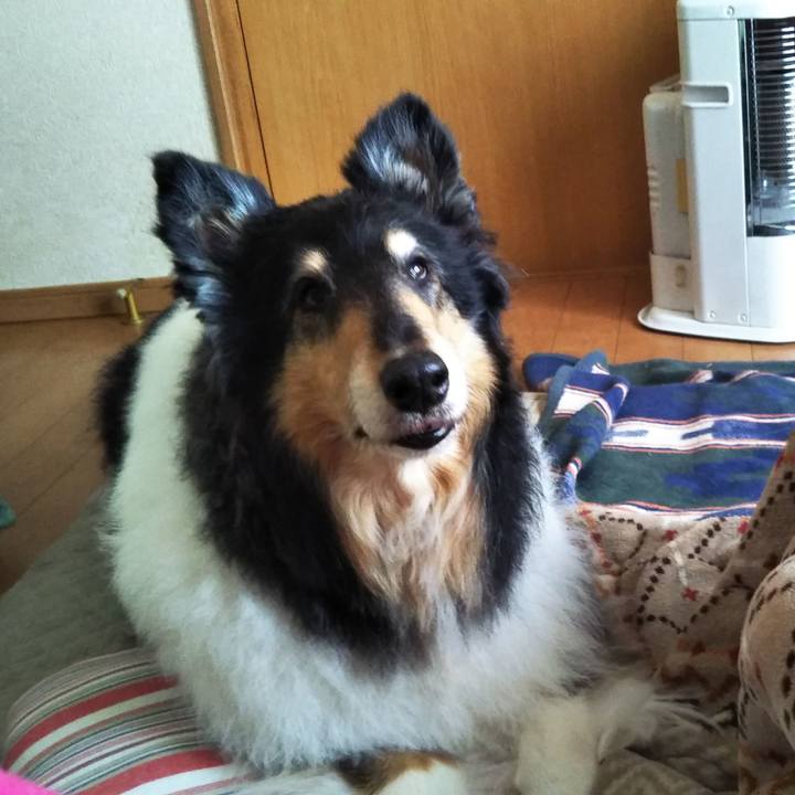 199867b9 e4da 4fec a2d7 be680be848aa 1587133208336