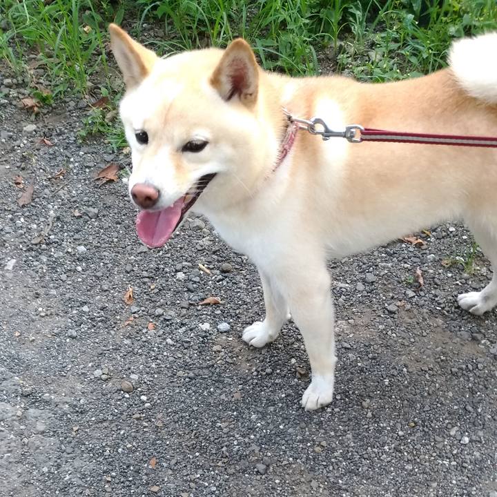 199873e4 47c1 4fd8 acb1 e599576cb48b 1597786273024