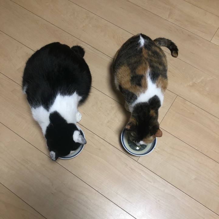 19988b78 459d 4f7a 9b2d 50f50633f9c9 1613226613088