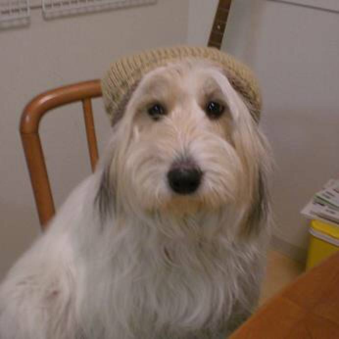 19989929 24ce 4145 9740 120c2fe0babf 1519390698615