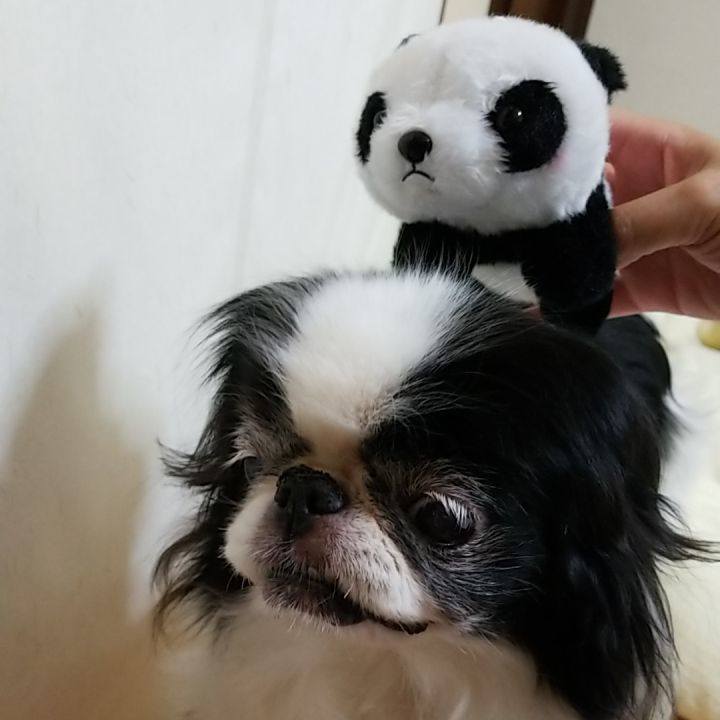 1998e61d a060 48c5 9c08 cf77b6986c84 1534849749312