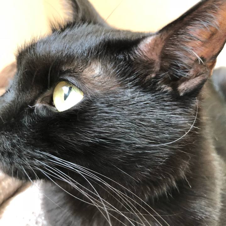 1998e987 18f2 4d85 b2c4 39afe5ba0b58 1526081824052