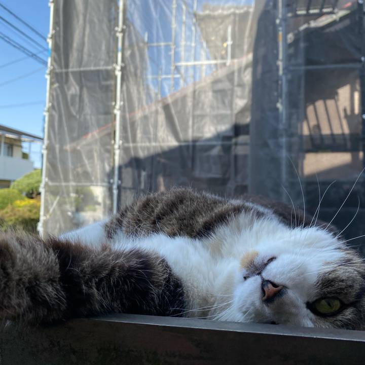 1998ee95 4d24 47e7 89ad 8f231604a84c 1649667960182