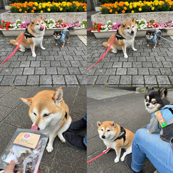 1999588c 6052 4576 8d5e d6417a28ea5f 1654767837655