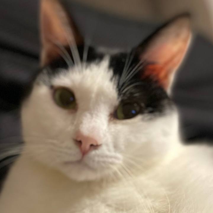 199971f3 0a77 4f61 926d bdd32b403be9 1571670431718