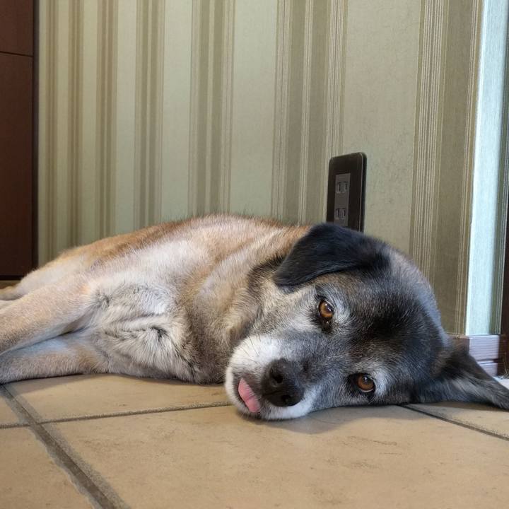 19998339 77d9 48af 968b e9527627e30c 1523767417104