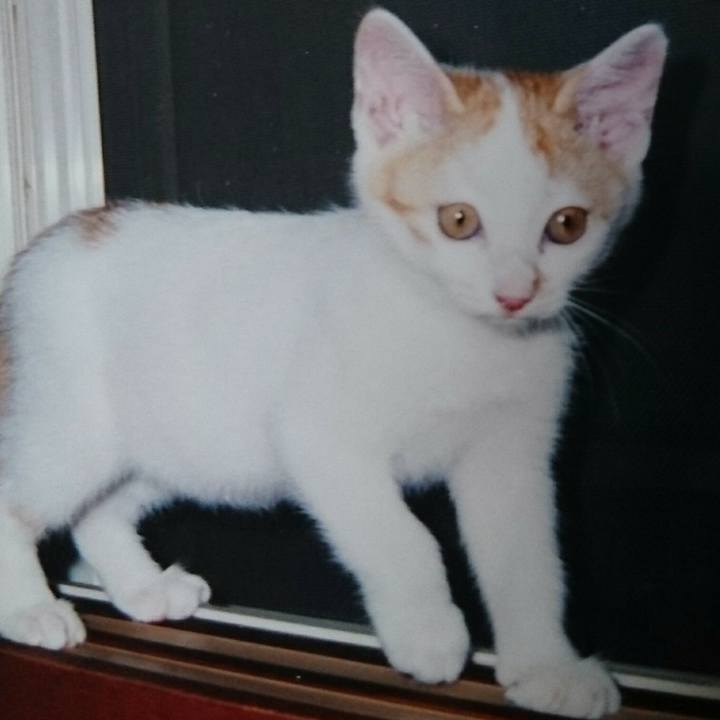 199986b6 7ccb 450d 90d2 b99e820d0436 1619094322298