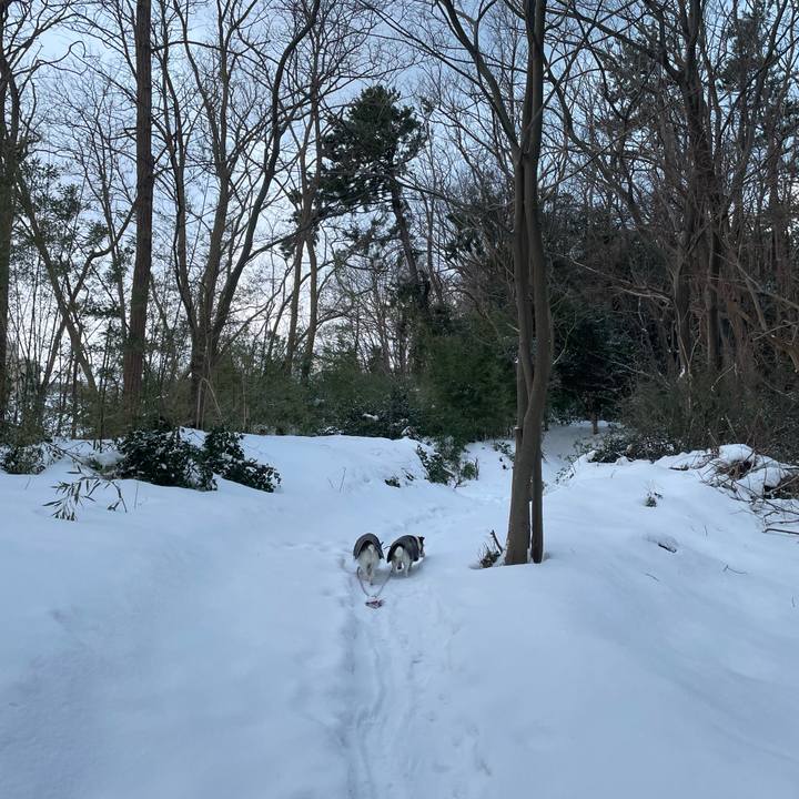 1999c3be 1020 4588 a29d 766f5bfc887b 1769641378070