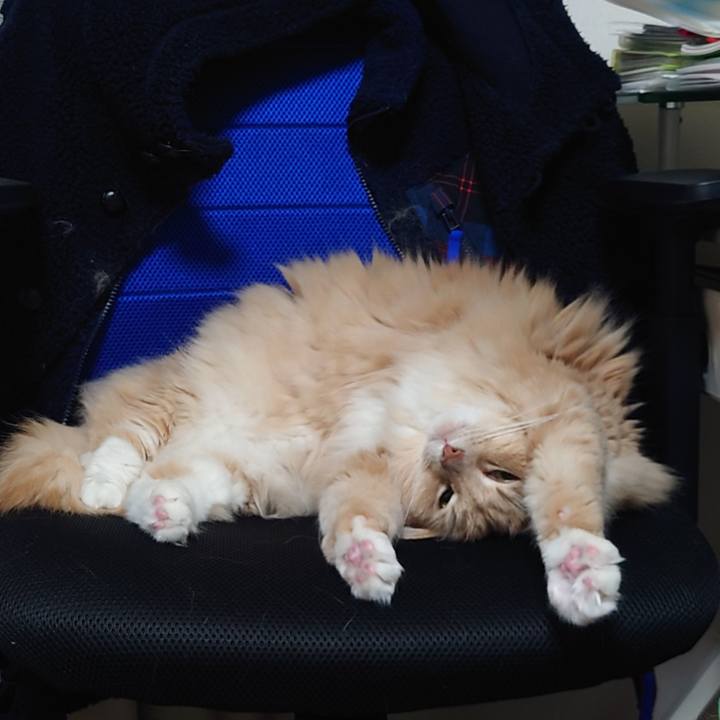 1999cb43 819e 47d9 9577 a808911d95bb 1650030160162