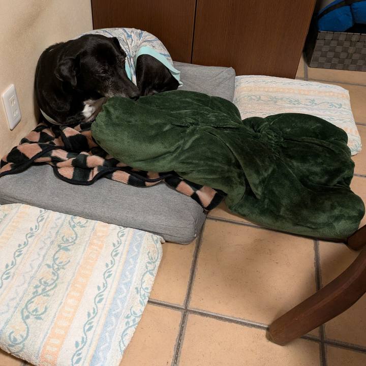 1999d13f 9a43 4e41 9fd8 d28965ad0458 1738542353388