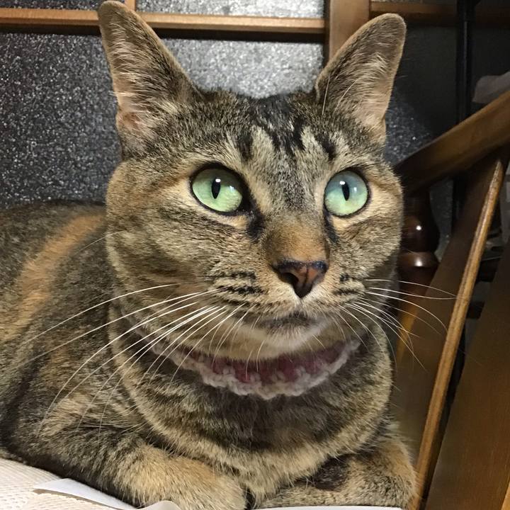 1999fdaf 8448 4142 b8b4 77f356d46a91 1657190489004