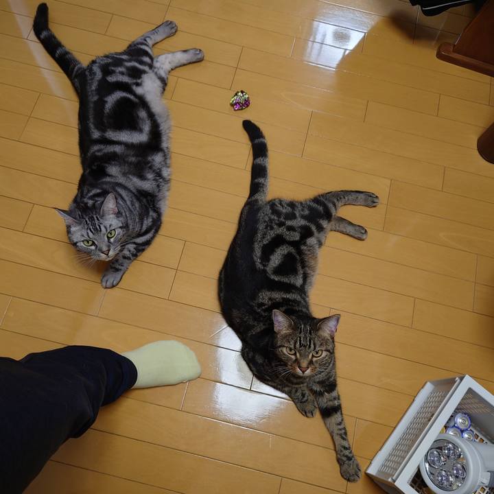 1999fe16 38aa 4ccb bd04 a2a20c1dba57 1627604796612