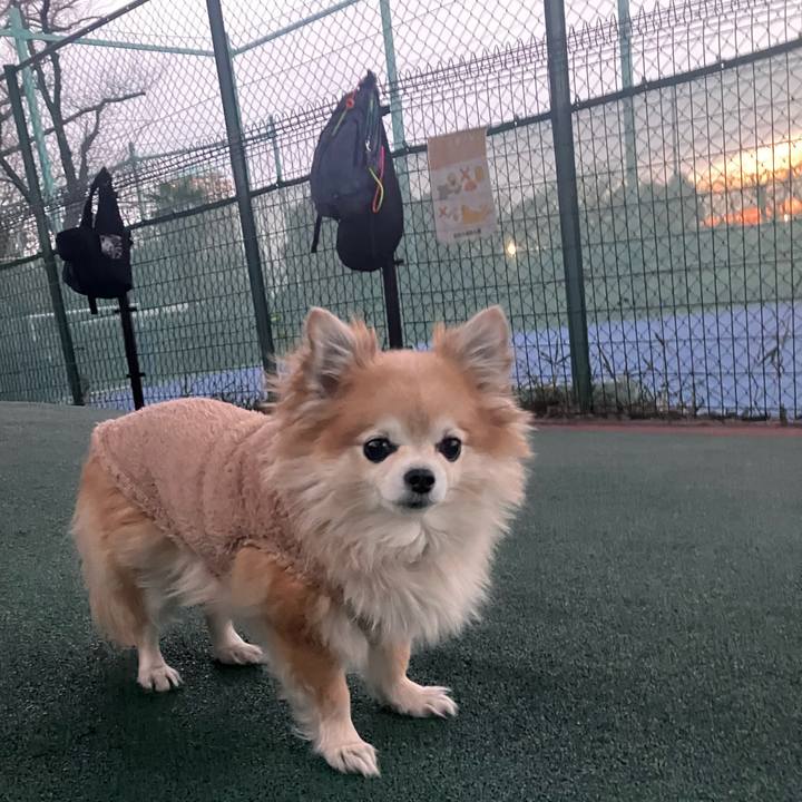 199a4d45 51d6 41f2 bc2a 1d6317494acc 1765783056370