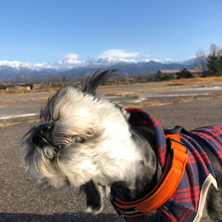 199a743c 39c4 4f6b 8665 01626fac0f80 1701006120211