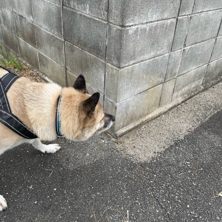 199a7946 8c14 41b0 a2be d4fd9850fdf6 1726746422642