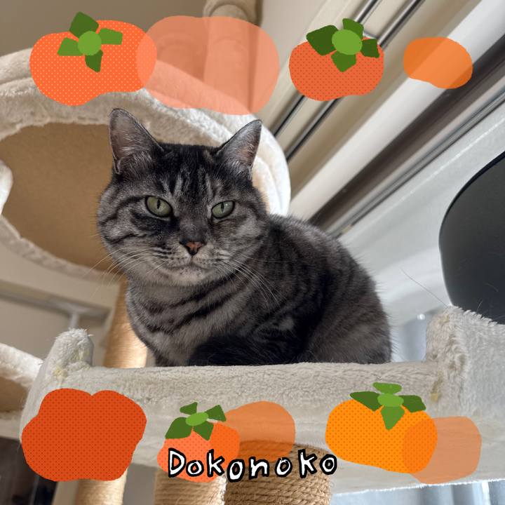 199a8832 e5dc 4b17 8a36 386e658453e9 1764220052872