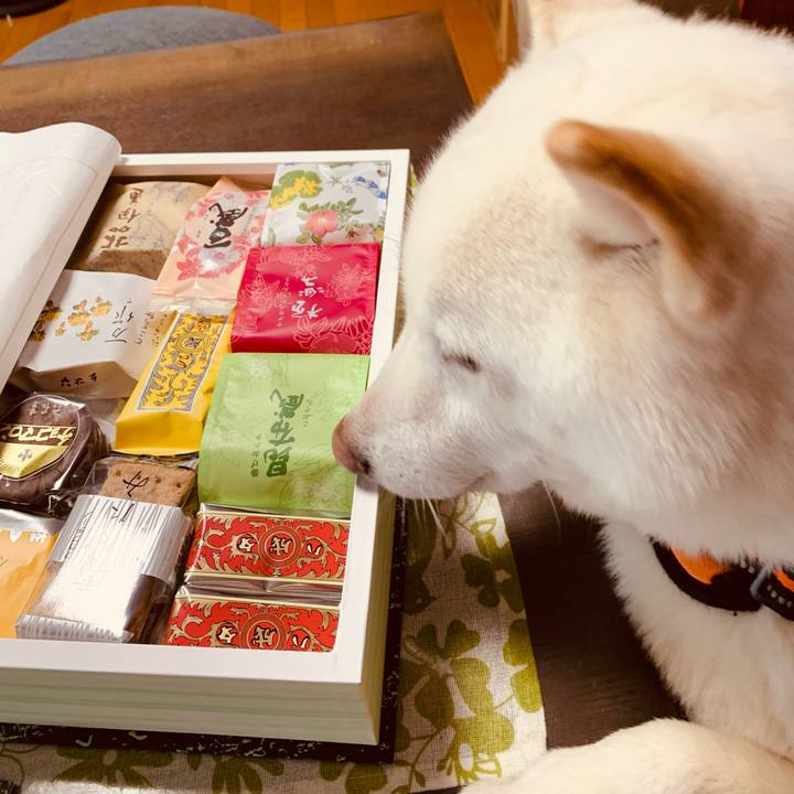 199acdc1 5f3b 4343 b554 76af83103311 1672215265685