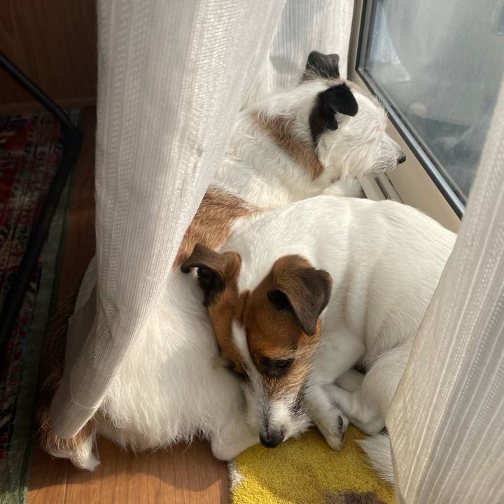 199ad61c 3663 4506 8b18 591d9c4de25e 1742860667845