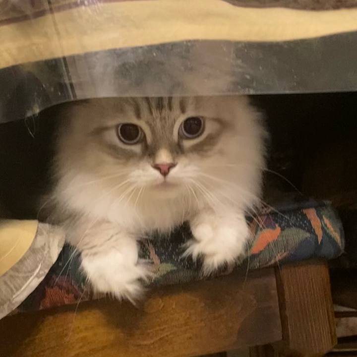 199afa5b 3e8d 4aa7 9c48 a445e8ee635b 1694582485301