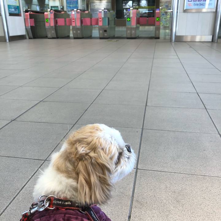 199afb02 9d13 48c3 9c7d bc56e7d6bf1c 1614808004577