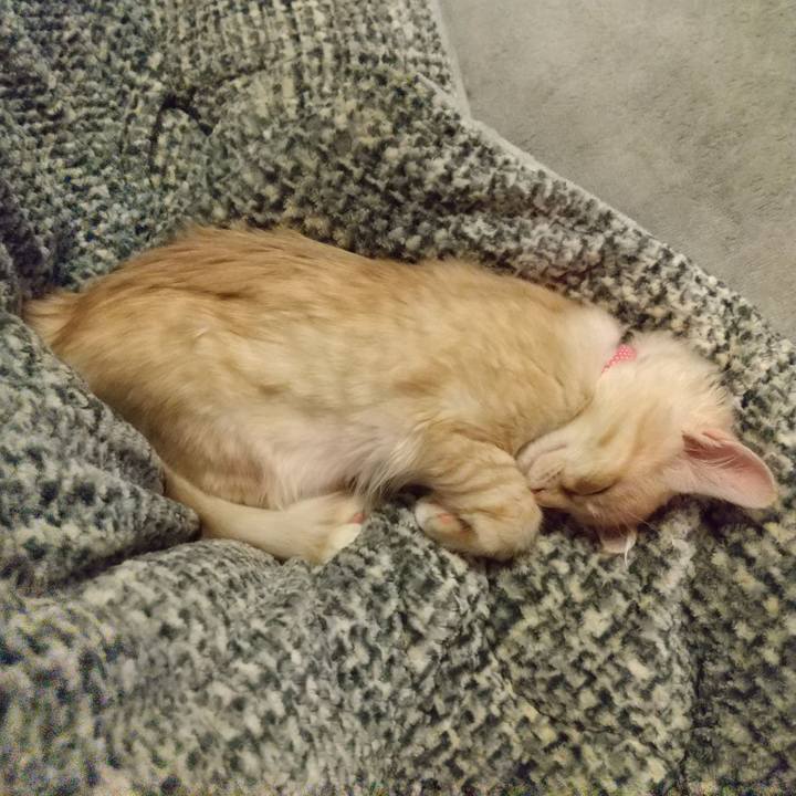 199b01b1 c32e 4a54 a810 a8f97b57c70d 1606912600376