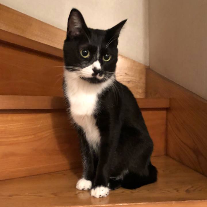 199b1569 c4de 42cf 9eb0 ba21e38b66cb 1537588088490