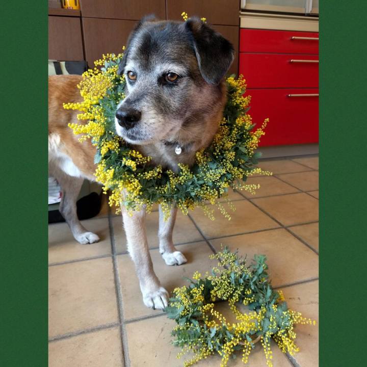 199b3fa6 a383 43dd bb83 f5841a804642 1772929613214