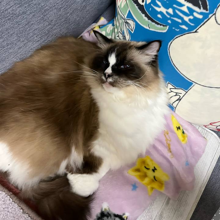 199b6406 8ad7 4eee b048 2ef1a30990e4 1705581883671