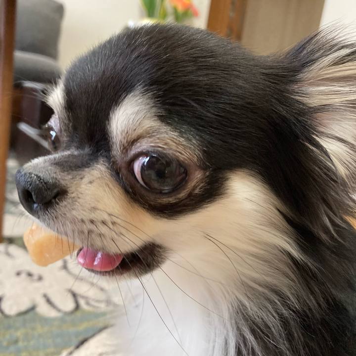 199b6933 d21f 4685 a535 86e2fd6da7db 1622291903567