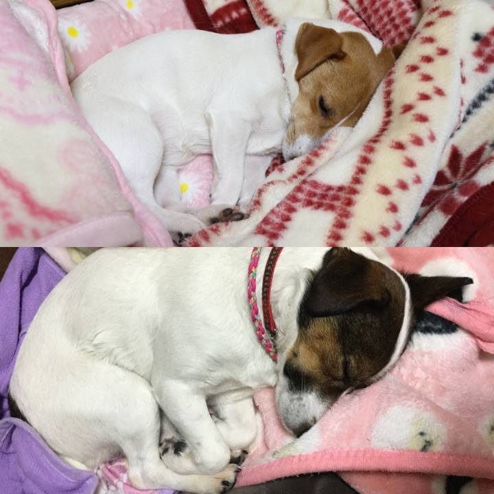 199b8adc 840e 4f8d be86 eefd5db18342 1515759504335