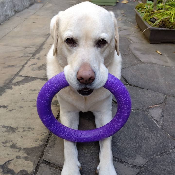 199b8f59 bd81 4347 a5e2 746a5d8809b5 1670122738117