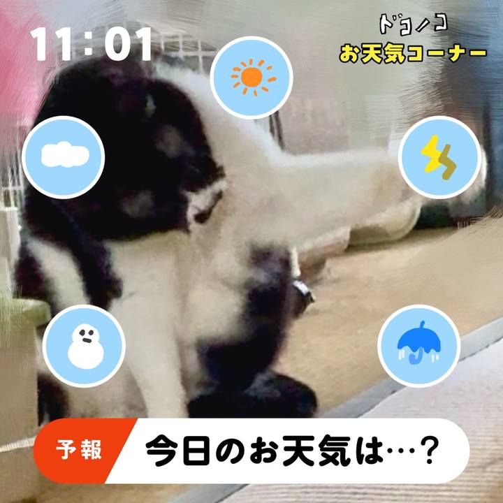 199b976c 4547 4d88 a0d2 e68c3470af42 1781510021380