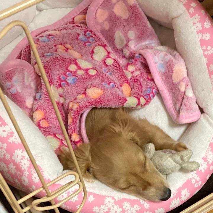 199bcd77 2c69 4b53 b81c eac0f0537e7a 1665300974535