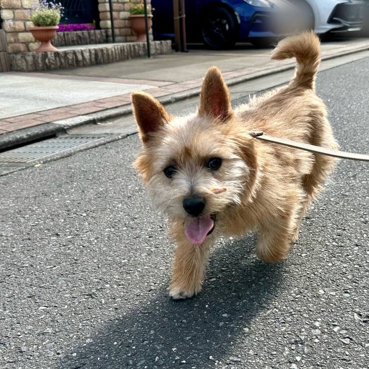 199be39c 48ee 4507 9dde c917ae49e688 1713619220392