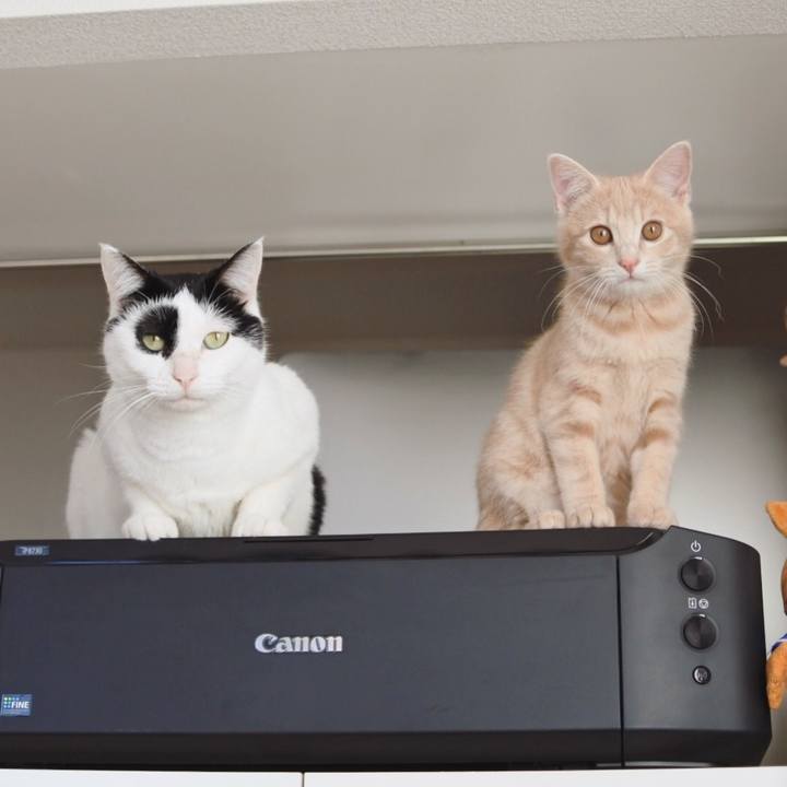 199bea31 5498 45d7 83a6 ab208f405c4c 1546133600001