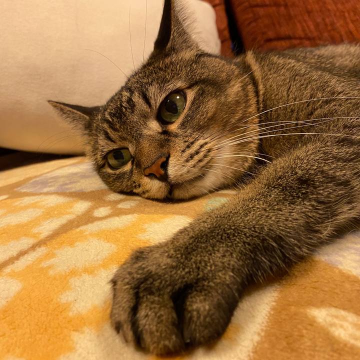 199bf0f2 76e1 4d0b 854a e394db79a0b6 1664069821712