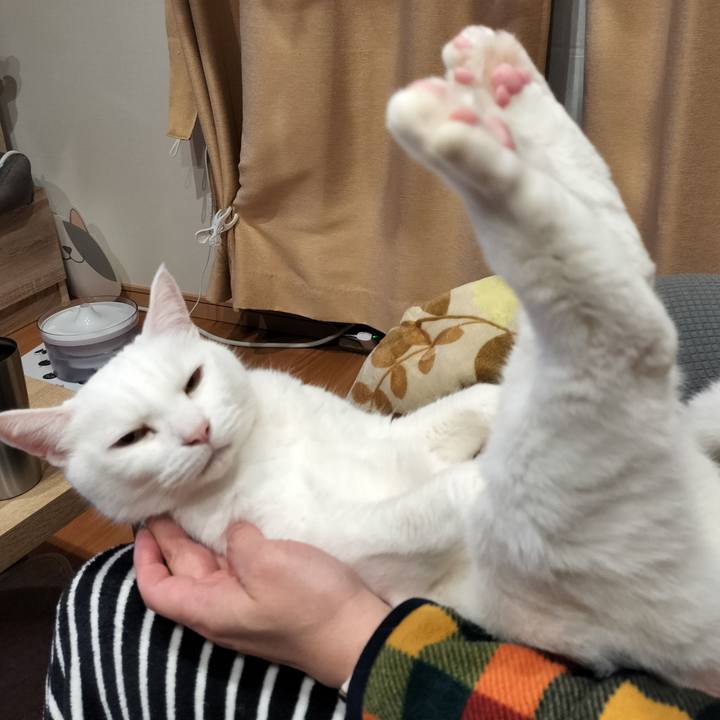 199c23e6 5956 4c21 95c3 e336b00e2537 1771055881905