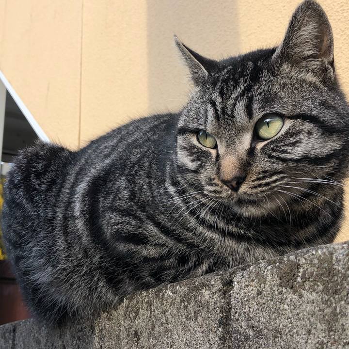 199c9089 84d9 404b a1ab ec2e766f4d6d 1518438521183