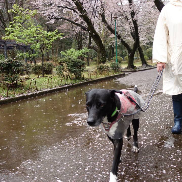 199cd1fe f668 42d0 903b 585b8ec0e06c 1649031542642