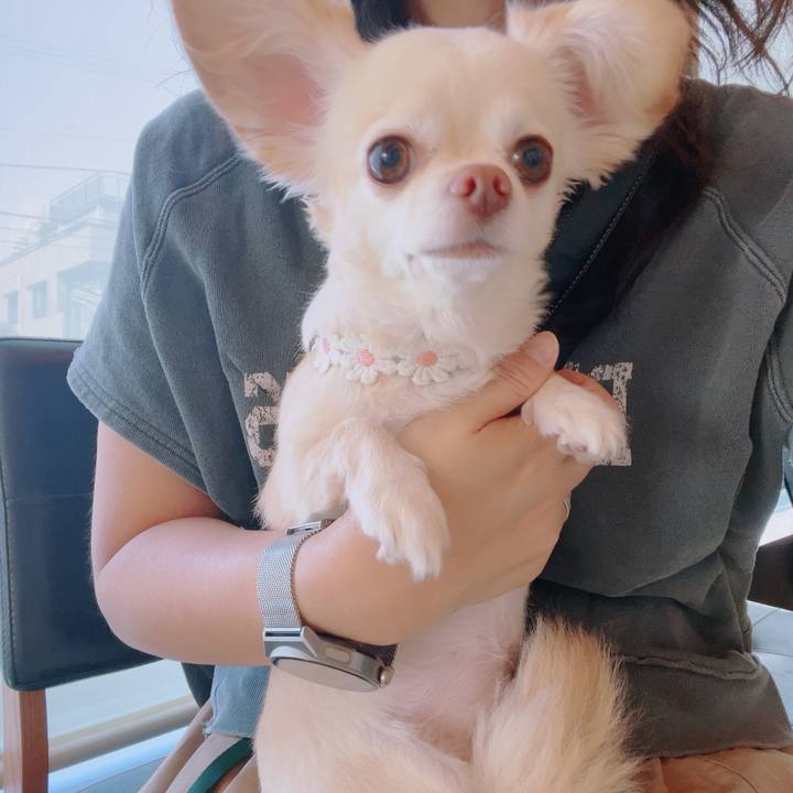 199cd442 4fea 4b41 96c1 74b02840d033 1758855338761