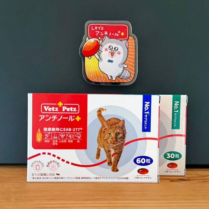 199cd84d 7aca 4524 bf7f e9cd739c614f 1767139110973