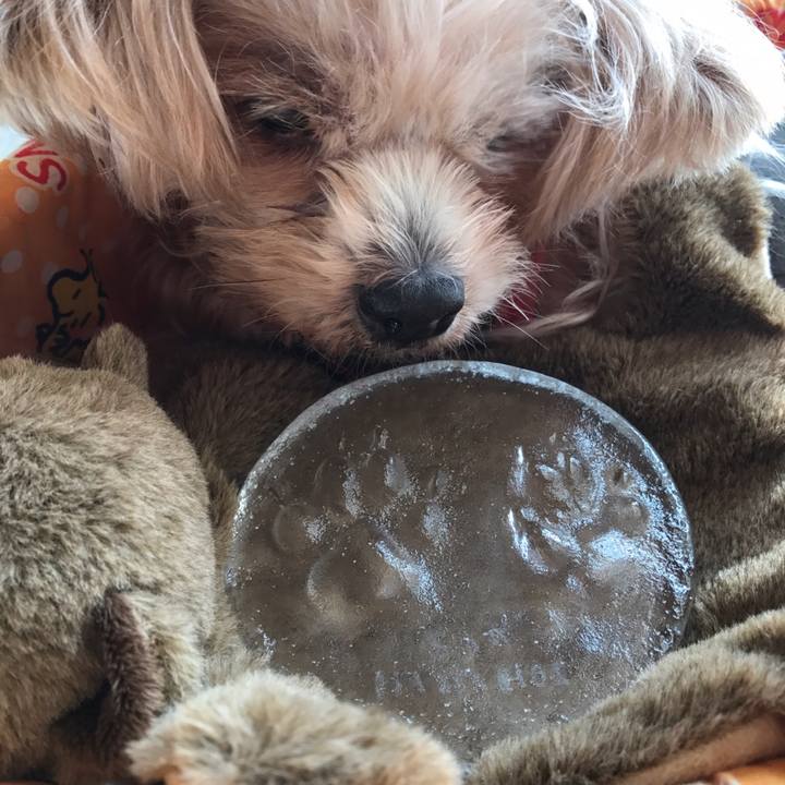 199cda66 0591 4c2f 921a a213824f5190 1543629291063