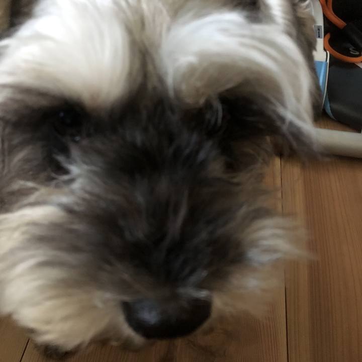 199cf206 1805 4024 b556 998cae6ca3be 1560810519823