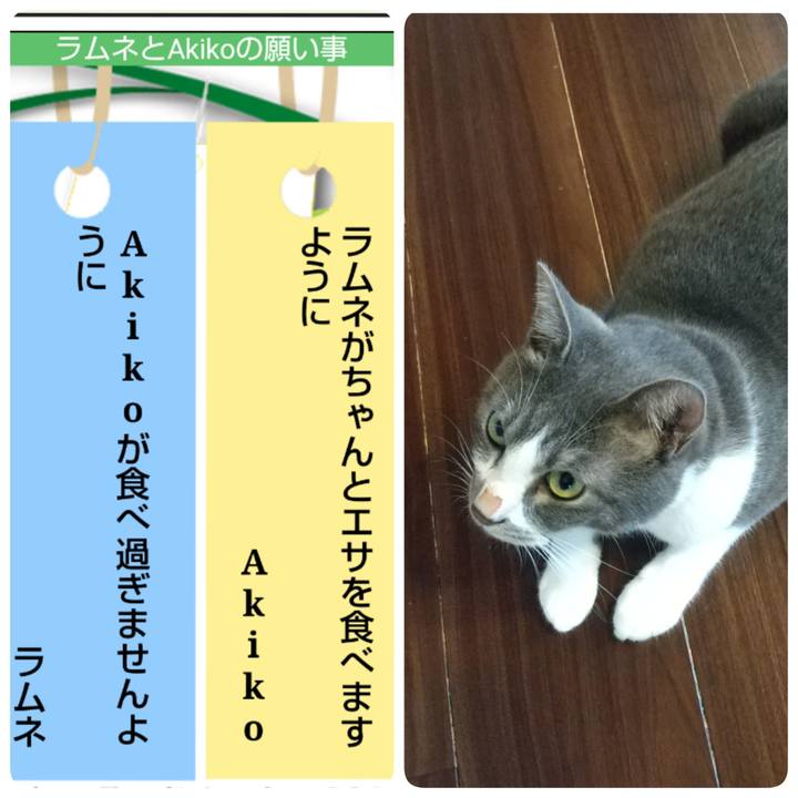 199cf2e6 aeac 4848 8c41 e1292ef7a593 1625618594412