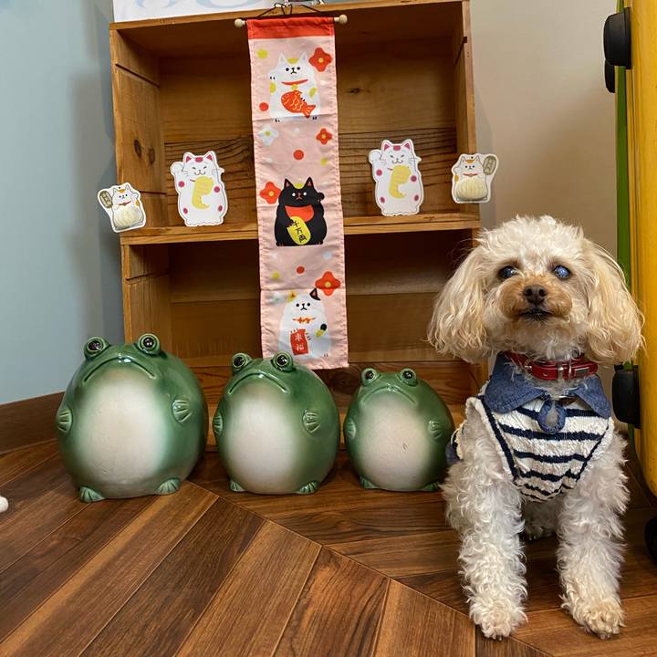 199cf5c9 9f75 488a a733 4c2c328f156e 1610701965780