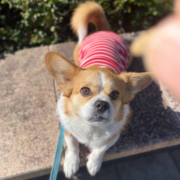 199d02d4 9732 4ff4 ac58 7e6bf840bf67 1675054794374