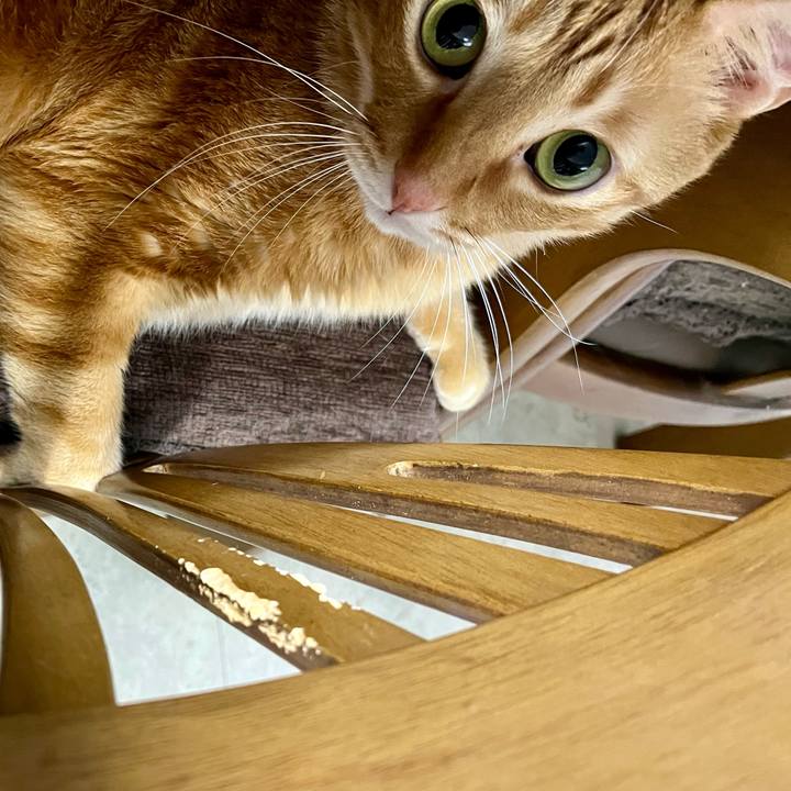 199d072c 2091 4d6e b128 db1b570e42f0 1638665366048